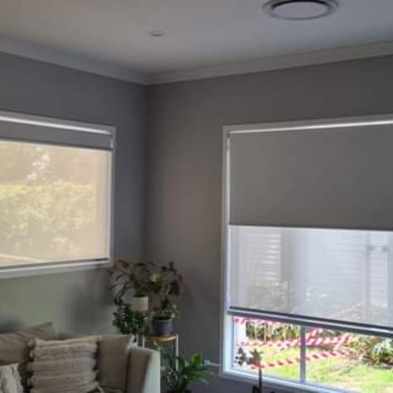 Blind screen combining insect mesh and a sun blind in a single track